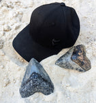 The Megalodon Hat