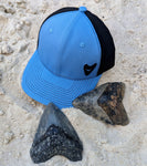 The Megalodon Hat