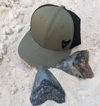 The Megalodon Hat