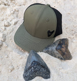 The Megalodon Hat