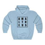 AMALTHEUS Hoodie