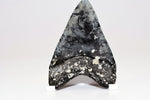 Megalodon - 4.18"