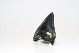 Megalodon - 3.90"