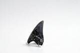 Megalodon - 3.13"